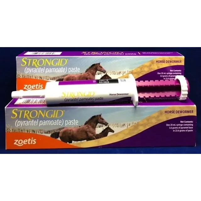Strongid Paste Pyrantel Pamote for Horses Equine Anthelmintic 20mL 3-Pack Zoetis