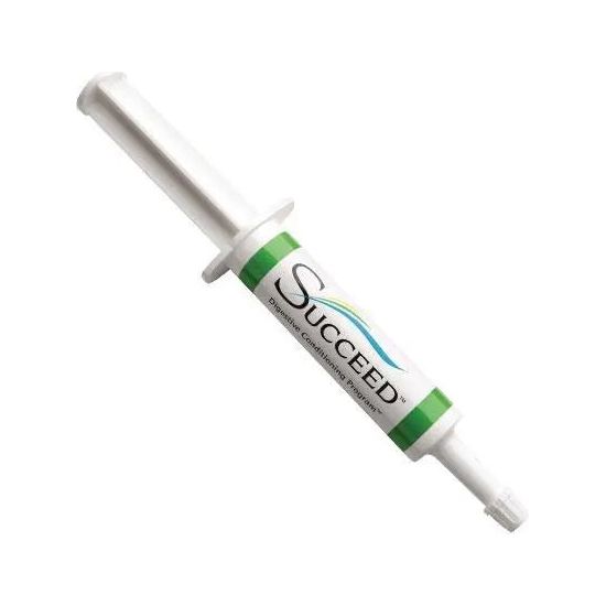 Succeed Digestive Conditioning Paste Supplement for Horses Succeed