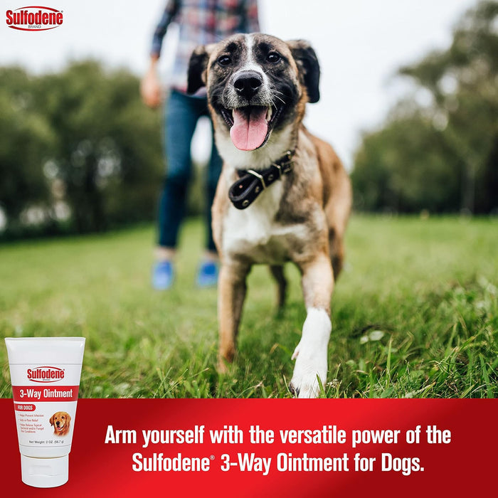 Sulfodene 3-Way Ointment Wound Care Pain Relief for Dogs 2 oz.