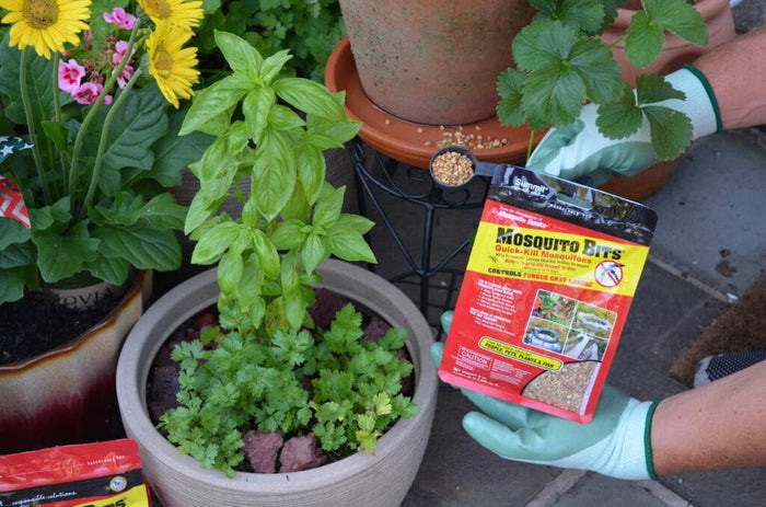 Summit Mosquito Bits Insect Killer 8 oz.