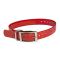 The Buzzard's Roost Replacement Collar Strap 1"