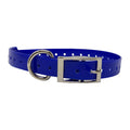 The Buzzard's Roost Replacement Collar Strap 3/4"