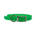 The Buzzard's Roost Replacement Collar Strap 3/4"
