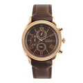 Titan Classique Brown Dial Chronograph Watch for Men 1489WL02