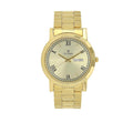 Titan Gold Dial Analogue Watch for Men (1644YM03) NM1644YM03 / NL1644YM03/NR1644YM03, gold, Analog Watch