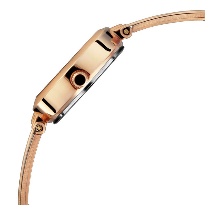 Titan Karishma Analog Silver Dial Women's Watch NM2598WM01/NN2598WM01/NP2598WM01