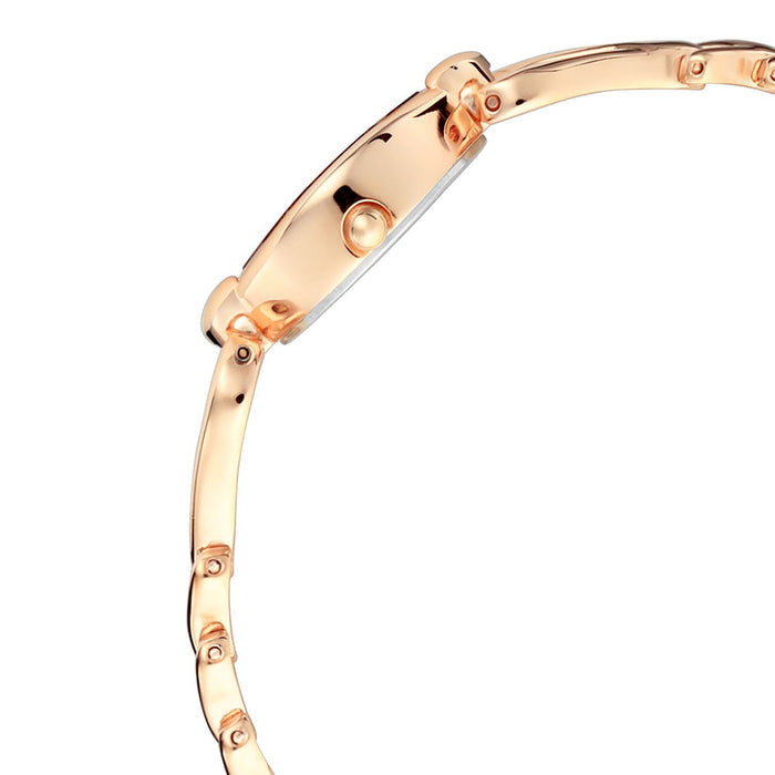 Titan Raga Silver Dial Analog Watch for Women 2455WM01