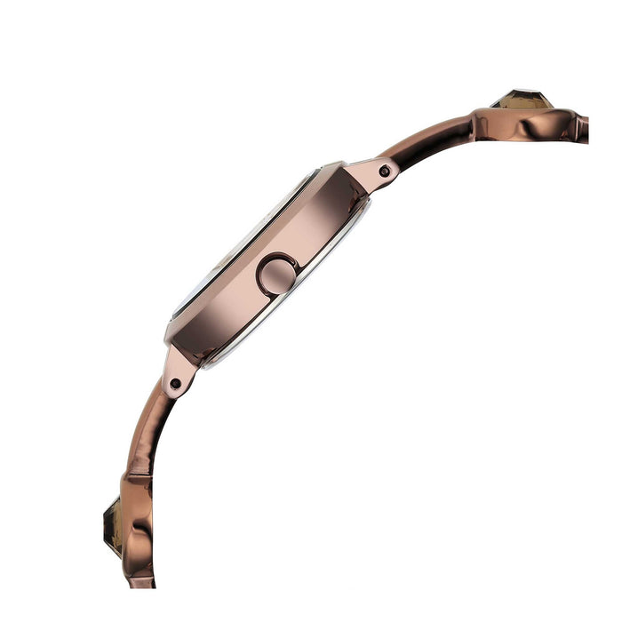 Titan Raga Viva Quartz Analog Rose Gold Dial Brown Metal Strap Watch for Women 2576QM01