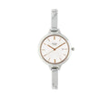Titan Raga Viva Silver Dial Analog Watch for Women 2578SM02