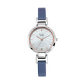 Titan Raga Viva Silver White Dial Analog Watch for Women 2608SL01