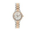 Titan Silver Dial Stainless Steel Strap Watch 95024KM01