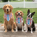 Top Performance American Denim Bandana for Dogs 3-Pack