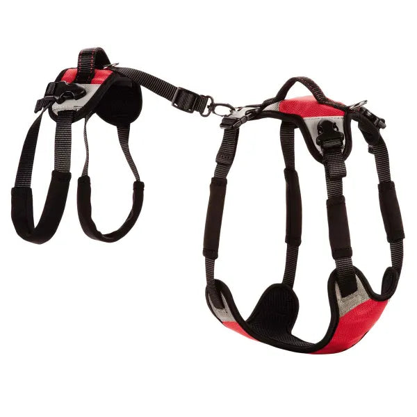Total Pet Health Lift and Go Dog Lead, Red Small Fits Chest 19"-30"