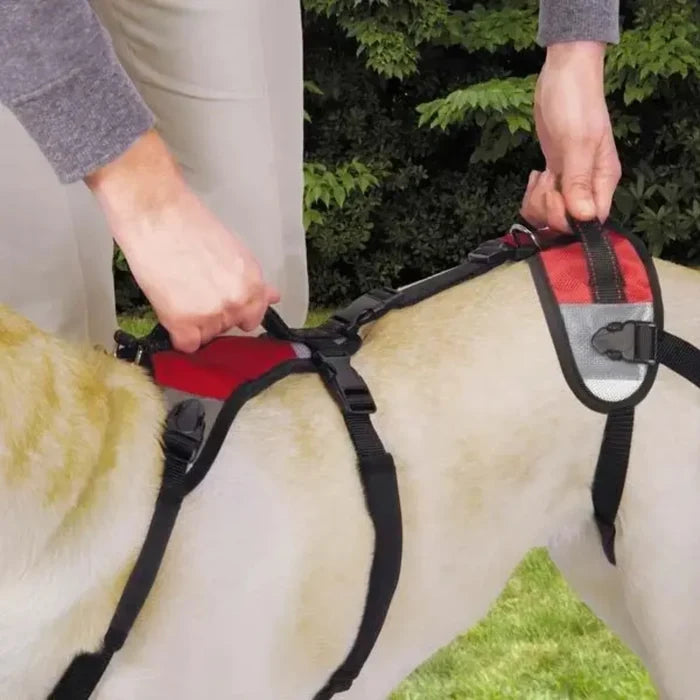 Total Pet Health Lift and Go Dog Lead, Red Small Fits Chest 19"-30"