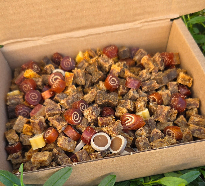 Training Treat Box - 600g