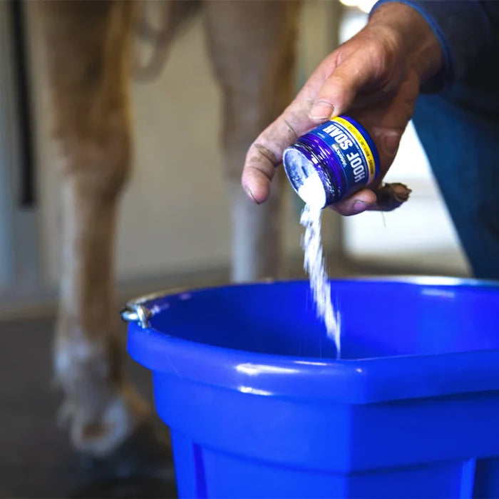 Vetericyn Hoof Soak for Hooves 30 Grams Abscess Thrush White Line Treatment
