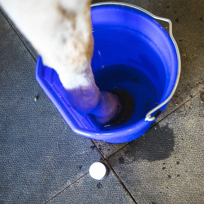 Vetericyn Hoof Soak for Hooves 30 Grams Abscess Thrush White Line Treatment