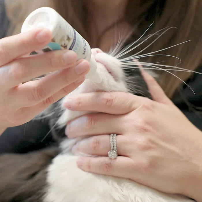 Vetericyn Plus Antimicrobial Feline Facial Therapy 2 oz. Cat Face Skin Repair