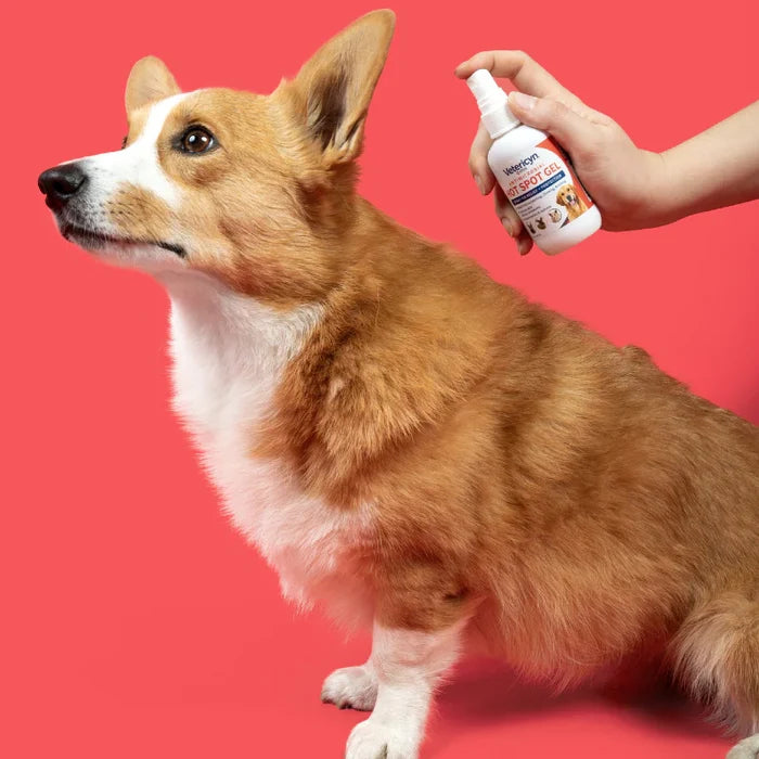 Vetericyn Plus Hot Spot Antimicrobial Gel All Animals 3 oz.