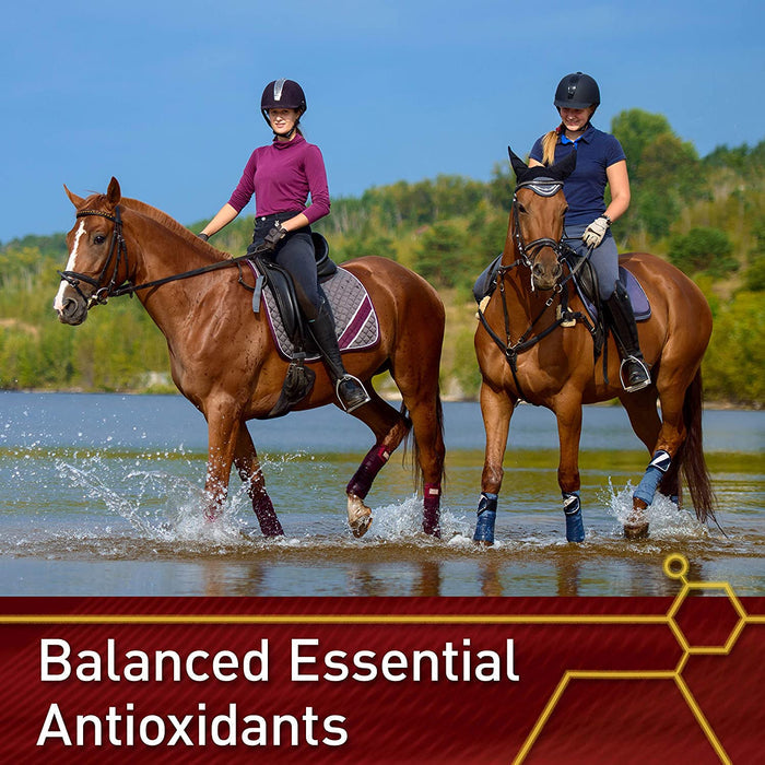 Vita Flex E and Selenium Supplement for Horses 20lbs. 320 Day Supply Vita Flex