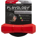 Playology Squeaky Beef Scent Chew Stick Dog Toy, Medium PLAYOLOGY