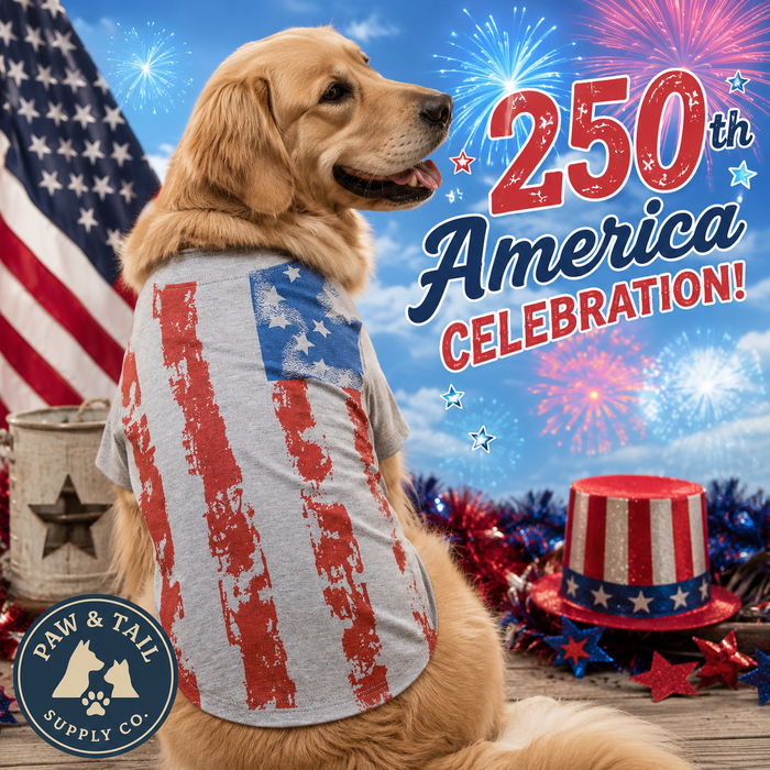 Zack & Zoey America's Pup Flag Dog Tee Gray Large
