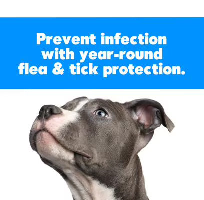Zodiac Flea & Tick Shampoo for Dogs & Cats Coconut Scent 12 oz.