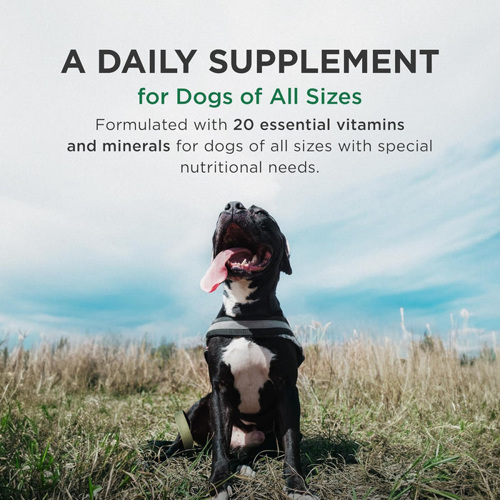 Zoetis Pet-Tabs Plus for Dogs Vitamin & Mineral Supplement, Liver Flavor 180 Chewables