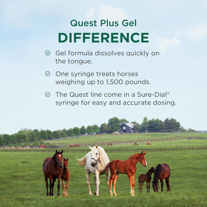 Zoetis Quest Plus Horse Wormer Gel Moxidectin Praziquantel Paste Tube